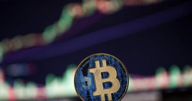 History says bitcoin could peak soon, but here’s the case for it to keep climbing