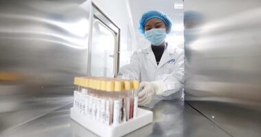 The NIFTY test - a brand-named product of BGI Genomics - was developed in China , with the support of the People's Liberation Army. (Pictured: BGI Genomics laboratory in 2018)