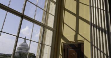 How Did the Swastika Flag Wind Up in Rep. Taylor's Office? – HotAir