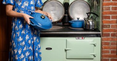 Sarah Rainey says it turns out her kitchen is woefully out of date, with a set of Le Creuset casserole dishes and the 1960s Aga