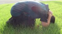 How to protect yourself if you encounter a bear in Japan, according to new study