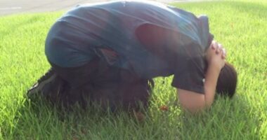 How to protect yourself if you encounter a bear in Japan, according to new study