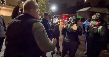 The incident unfolded in the early hours of Saturday morning according to footage shared on social media