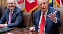 Donald Trump snapped at Australia's US ambassador for being critical of him during a Cabinet Room meeting Monday. He is seen with Australian Prime Minister Anthony Albanese (left)