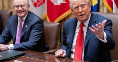 Donald Trump snapped at Australia's US ambassador for being critical of him during a Cabinet Room meeting Monday. He is seen with Australian Prime Minister Anthony Albanese (left)