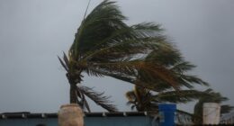 Hurricane Melissa: UK travellers hit by Jamaica flight delays and cancellations as tropical storm sweeps in