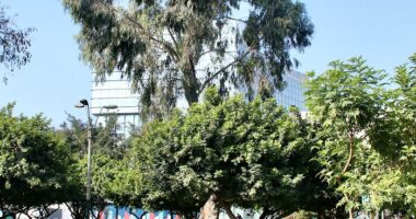 I Visited San Borja Sur Park In Lima, Peru With My Sisters, And Here Are The Highlights From Our Trip