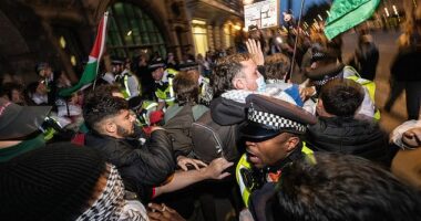 Police scuffle with protestors at the south end of Whitehall following a protest in Parliament square on Thursday