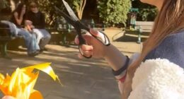 Locals confronted Ms Yahlom on Fortis Green Road in Muswell Hill outside The Pocket Park