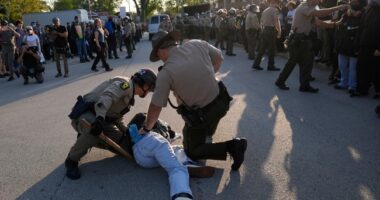 ICE Agents Come Under Large Scale Coordinated Assault in Illinois; One Attacker Wounded by ICE – RedState