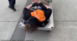 No-nonsense Immigrations and Customs Enforcement agents in Portland wheeled a protester away from a demonstration on a flatbed cart when he refused to walk himself
