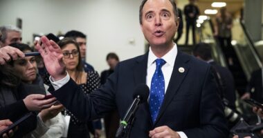 'If You Worked for Me—You Would Have Been Fired!' – RedState