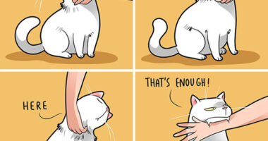 If You’re A Cat Owner, These Comics By Lingvistov Might Be Very Relatable To You (50 Best Pics)