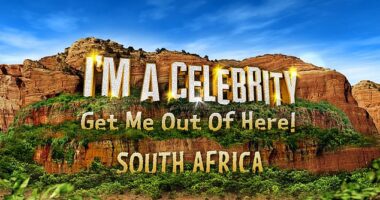 I'm A Celebrity All Stars' full line-up has been 'revealed' - with a pop star, soap legend and football ace among the fourteen famous faces already filming in the jungle.