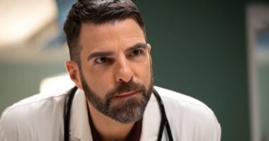 I'm Worried for Wolf After That Plot Twist