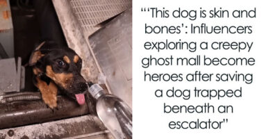 Influencers Exploring An Abandoned Mall Find A Dog Trapped Under An Escalator And Save The Day