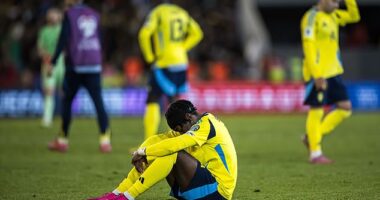 Sweden sit bottom of their World Cup Qualifying group after failing to win any of their opening four games