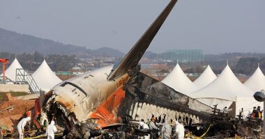 The past year has seen an apparent spike in commercial plane crashes, resulting in the loss of hundreds of lives. Pictured: The wreckage of the Jeju Air Boeing 737 after it crashed at Muan International Airport on January 1