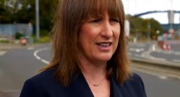 Is ANY of it your fault, Rachel? Reeves blames Brexit, austerity, Farage and the Tories as she admits tax rises and spending cuts ARE coming in the Budget