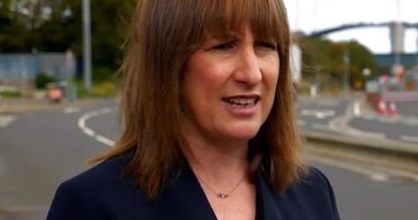Is ANY of it your fault, Rachel? Reeves blames Brexit, austerity, Farage and the Tories as she admits tax rises and spending cuts ARE coming in the Budget