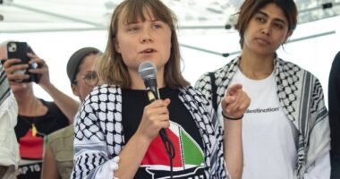 Israel Blocks Greta Thunberg's Flotilla – HotAir