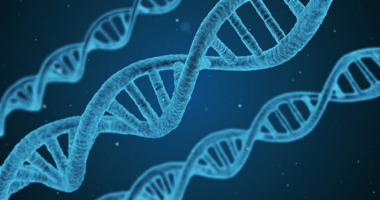 It's the Genes – HotAir