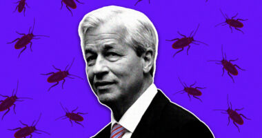 Jamie Dimon warns, ‘When you see one cockroach, there are probably more,’ after Tricolor loan loss
