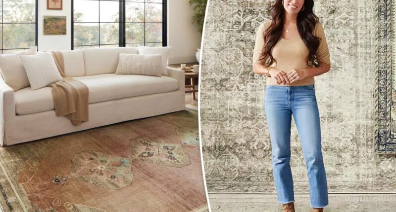 Joanna Gaines' Magnolia rugs are 50% off at Wayfair Way Day 2025