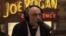 Joe Rogan (pictured) has once again torn into Donald Trump for his 'horrific' immigration crackdown, which the podcaster described as brutal and unjust