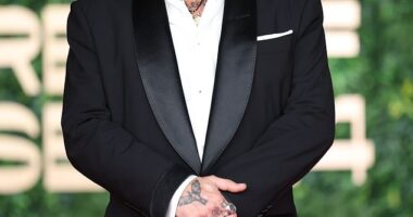 Johnny Depp is in the throes of a Hollywood comeback after his falling out with Amber Heard threatened his career; pictured December 2024