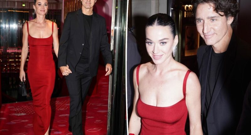 Justin Trudeau 'crazy' about 'perfect' Katy Perry