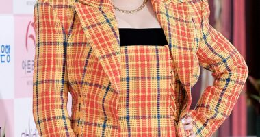 K-pop star Park Bom from the girl group 2NE1 has finally confessed to having plastic surgery