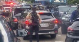 Tactical police were pictured swarming a Mercedes in Revesby on Tuesday afternoon