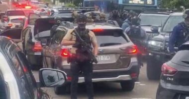 Tactical police were pictured swarming a Mercedes in Revesby on Tuesday afternoon