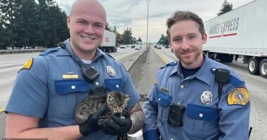 Troopers Bonner (right) and Fath (left) responded to calls about a kitten stranded on Interstate 5