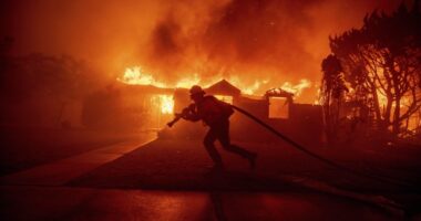 LA Firefighters Had to Be ORDERED Off the Lachman Fire
