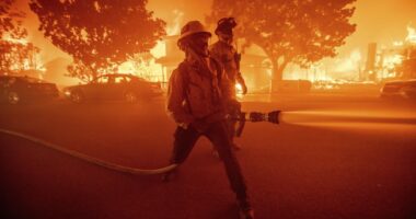 LAFD Whistleblowers Destroy Official Narrative on Palisades Fire Cause – RedState