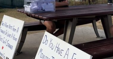 Lauren had the perfect life with her husband but eight weeks after getting married, the unthinkable happened