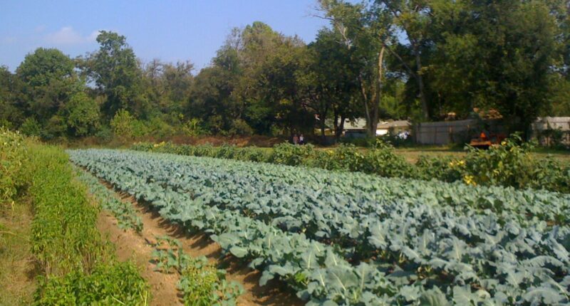 Leftists Threaten Small Farm For Hosting Conservative Think Tank