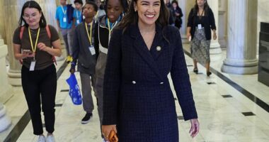 Alexandria Ocasio-Cortez said Republicans had targeted 'insecure' young American men