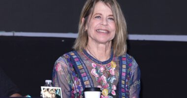 Linda Hamilton Called It Her Worst Movie, But I Have To Disagree