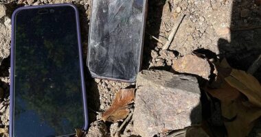 A pair of stolen phones found buried in the shallow dirt of the Phoenix Garden in London's West End