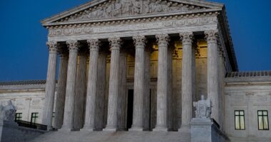 Louisiana Urges SCOTUS To End Race-Based Redistricting