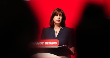 Lucy Powell wins Labour deputy leadership race to add to Starmer’s headaches