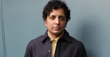 M. Night Shyamalan Nearly Wrote The Notebook Script