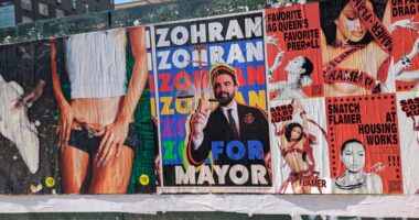 Mamdani’s Mother Bragged ‘He Is Not an American at All.’