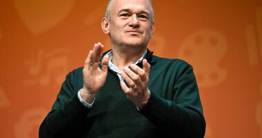 A man has been charged with stalking and possession of a flick knife after an alleged campaign of harassment towards Liberal Democrats leader Sir Ed Davey (above)