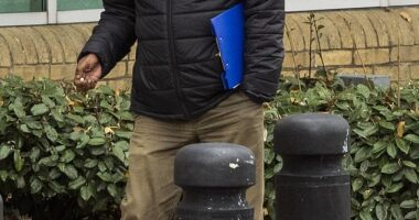 Sekhar Sootarsing, 69, claims to have acted in self defence