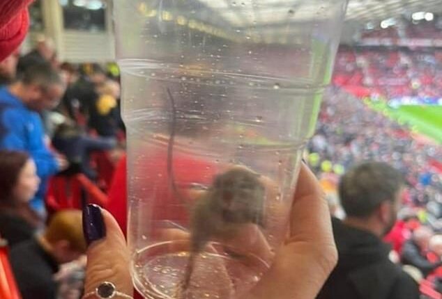 A Sunderland fan was horrified to find a mouse in the away end at Old Trafford on Saturday