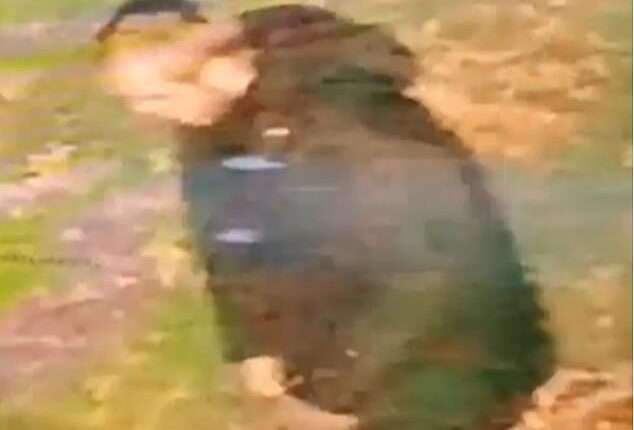West Midlands Police has launched a manhunt for a suspected rapist, who is described as white, aged in his 30s, with short hair. The man (pictured on CCTV) was wearing dark clothing at the time of the alleged attack, which happened in Walsall